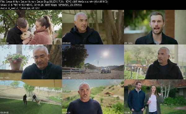 304254251_cesar-millan-better-human-better-dog-s02e10-720p-hevc-x265-megusta.jpg