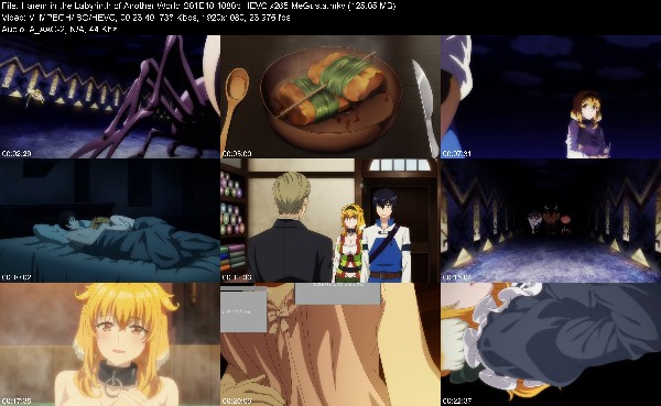 304819970_harem-in-the-labyrinth-of-another-world-s01e10-1080p-hevc-x265-megusta.jpg