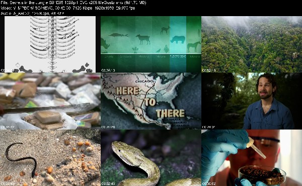 306870498_secrets-in-the-jungle-s01e05-1080p-hevc-x265-megusta.jpg