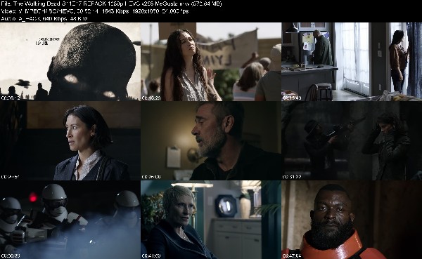 309417708_the-walking-dead-s11e17-repack-1080p-hevc-x265-megusta.jpg