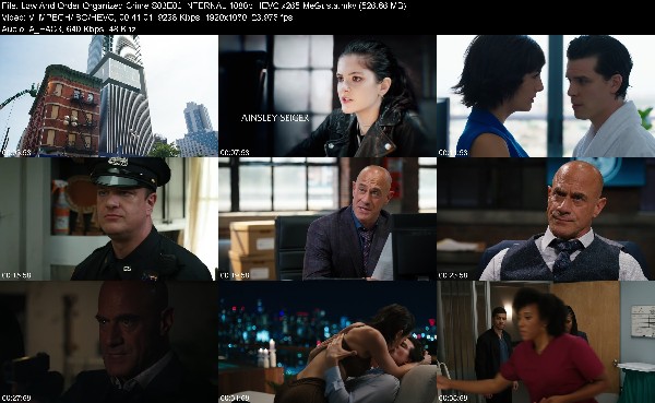 310554350_law-and-order-organized-crime-s03e02-internal-1080p-hevc-x265-megusta.jpg