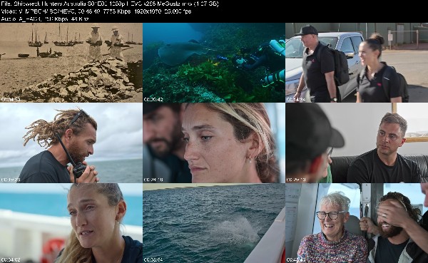 311480078_shipwreck-hunters-australia-s01e02-1080p-hevc-x265-megusta.jpg