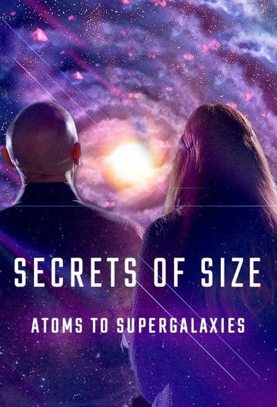 312804181_secrets-of-size-atoms-to-supergalaxies-s01e01-going-small-1080p-hevc-x265-megust.jpg