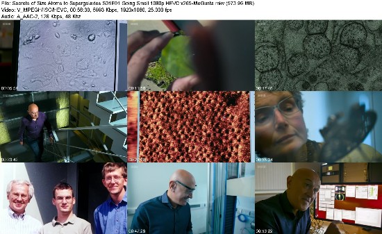 312804248_secrets-of-size-atoms-to-supergalaxies-s01e01-going-small-1080p-hevc-x265-megust.jpg